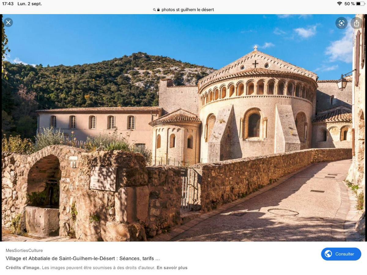 Entre Mer Et Lac Salagou Saint-Andre-de-Sangonis Екстер'єр фото